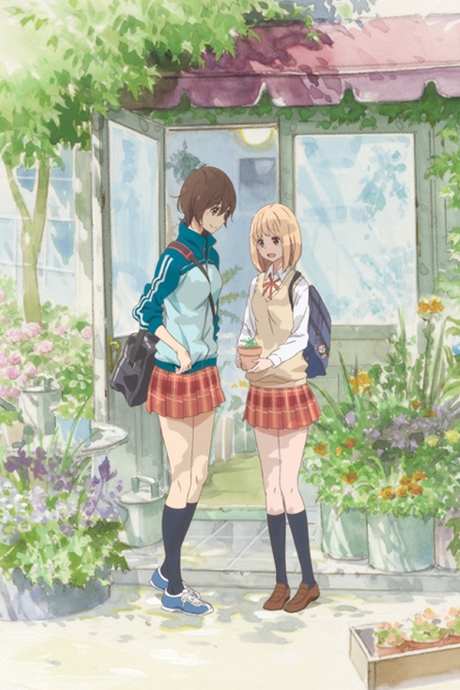 Affiche de Kase-san and Morning Glories