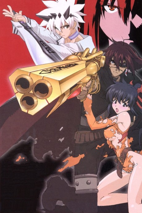 Affiche de Final Fantasy: Unlimited