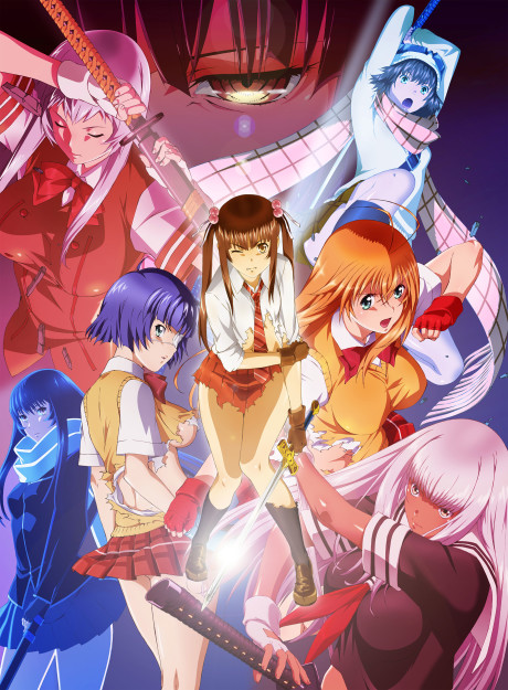Affiche de Shin Ikki Tousen