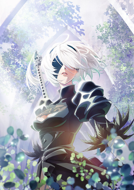 Nier: Automata Ver1.1a