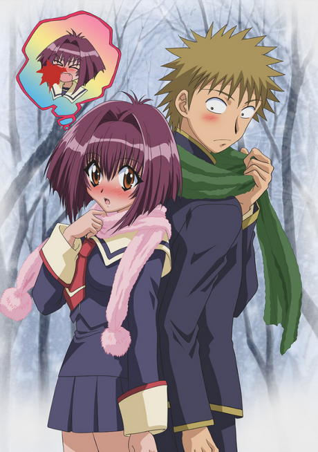 Affiche de Karin: Chibi Vampire