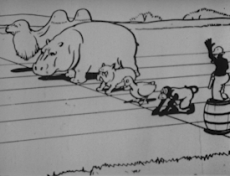 Les jeux olympiques des animaux