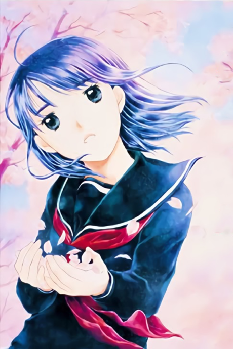 Affiche de Koi Kaze