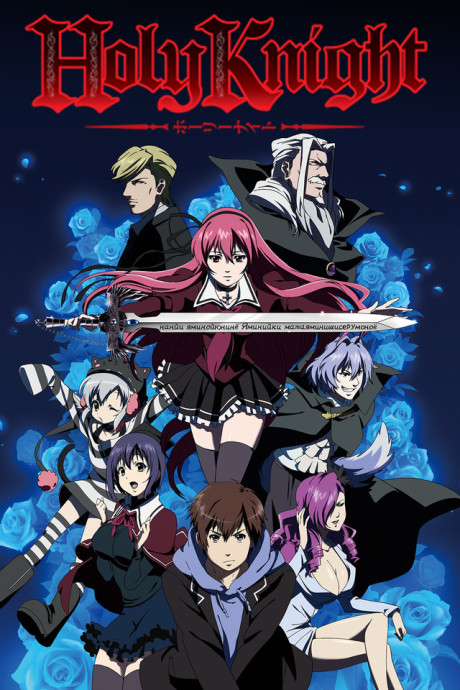 Affiche de Holy Knight