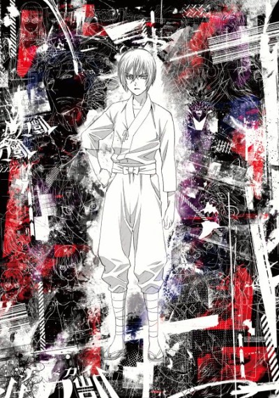 Affiche de SWORDGAI The Animation