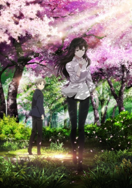 Affiche de Beautiful Bones -Sakurako's Investigation-