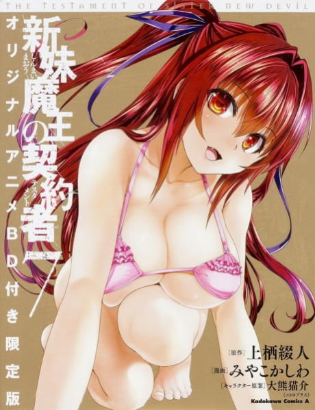 Affiche de The Testament of Sister New Devil BURST: Tojo Basara’s Perfectly Peaceful Daily Life